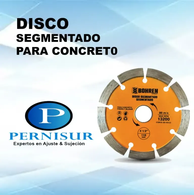 DISCO SEGMENTADO